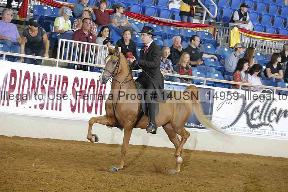 Proof 14usn_14959