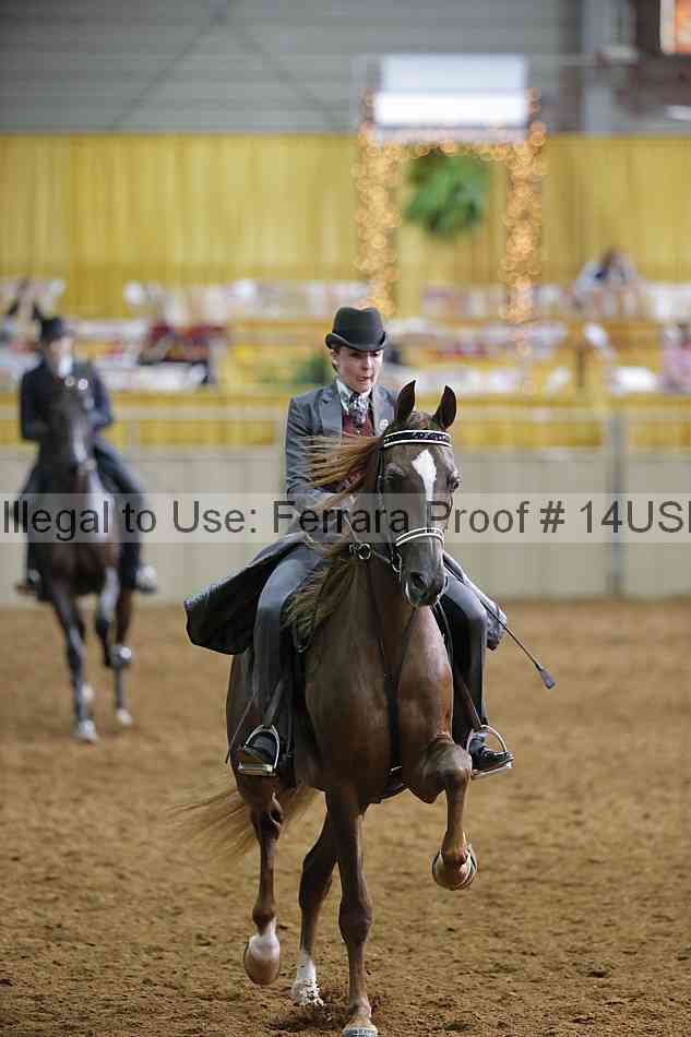 Proof 14usn_14960