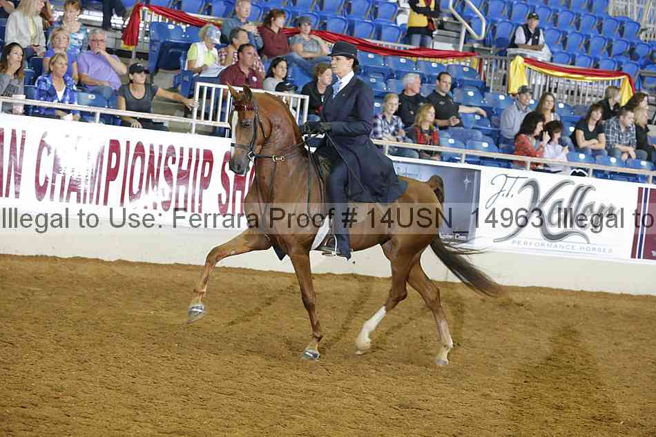 Proof 14usn_14963