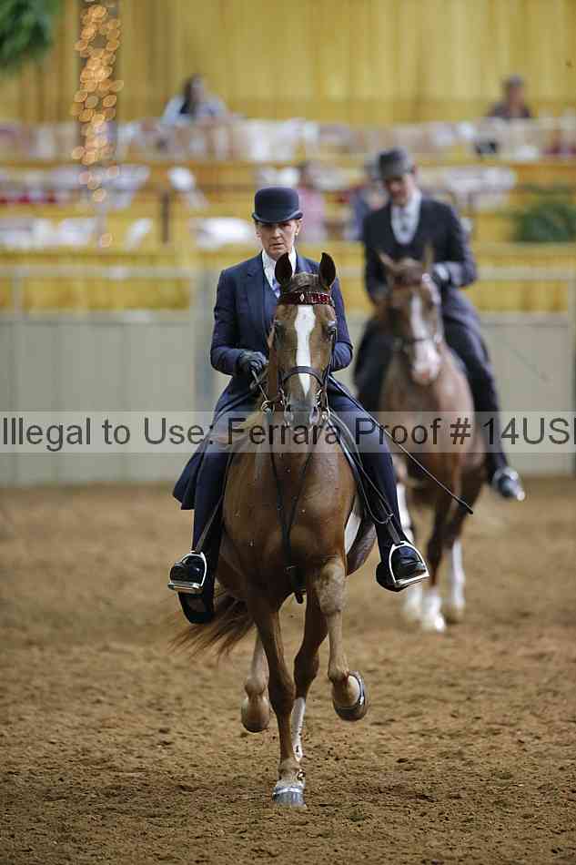 Proof 14usn_14969
