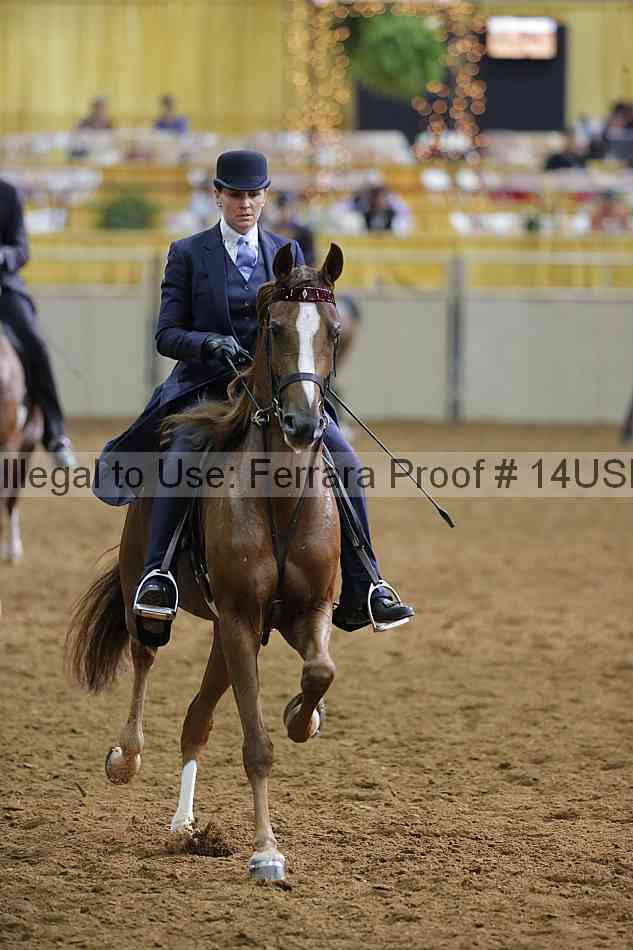 Proof 14usn_14970