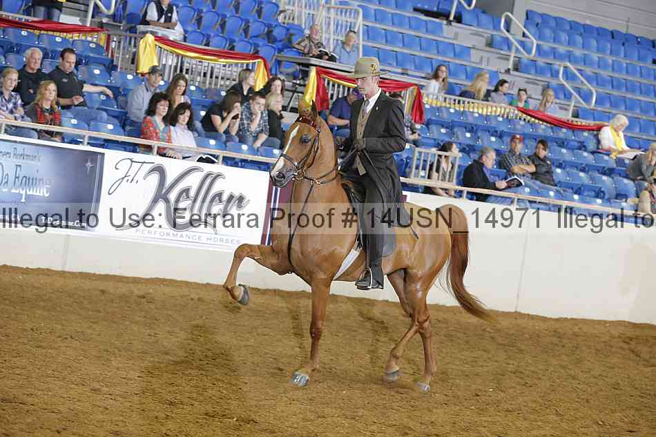 Proof 14usn_14971