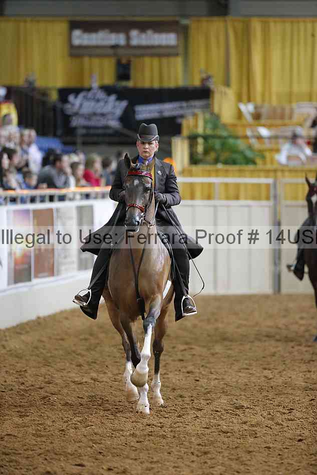 Proof 14usn_14973