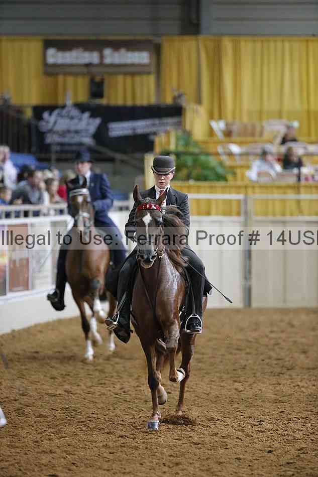 Proof 14usn_14976