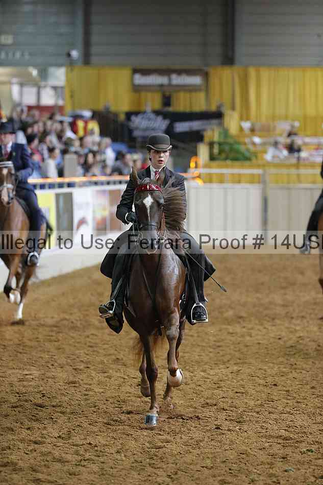 Proof 14usn_14977