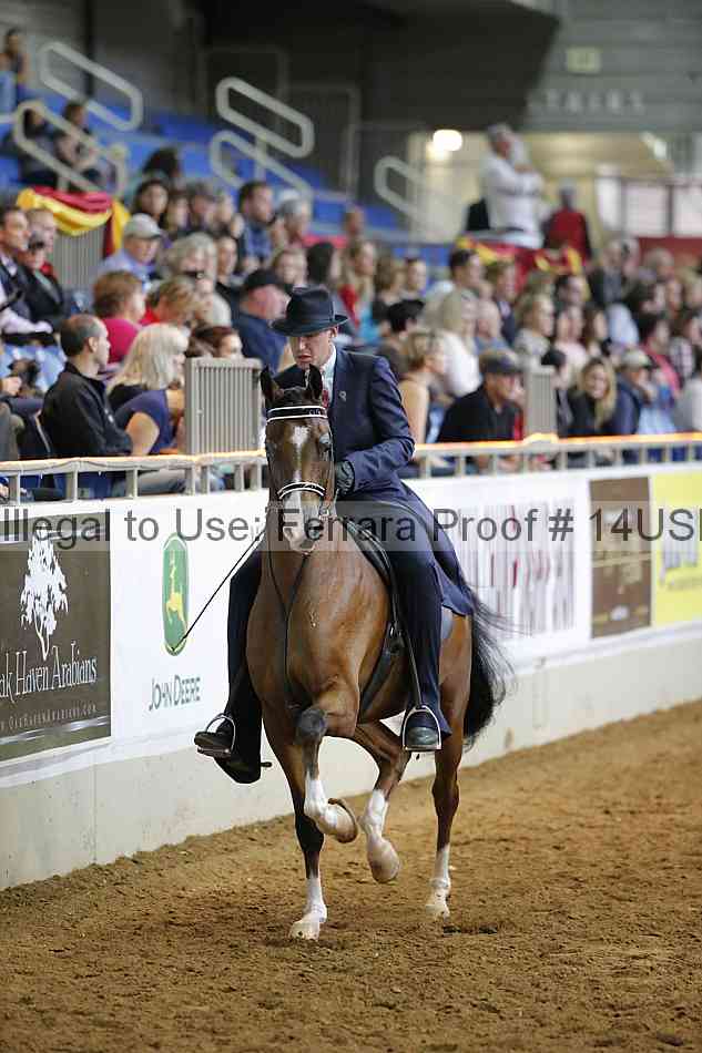 Proof 14usn_14978