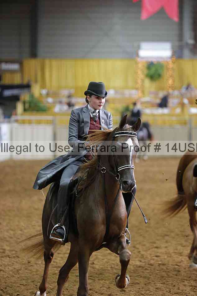 Proof 14usn_14979