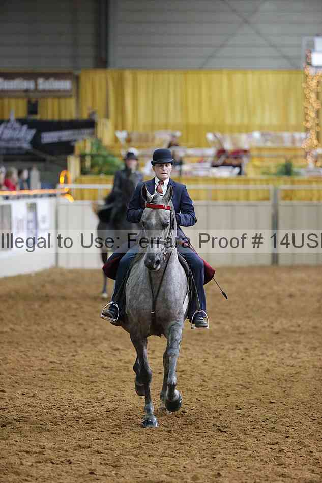 Proof 14usn_14980