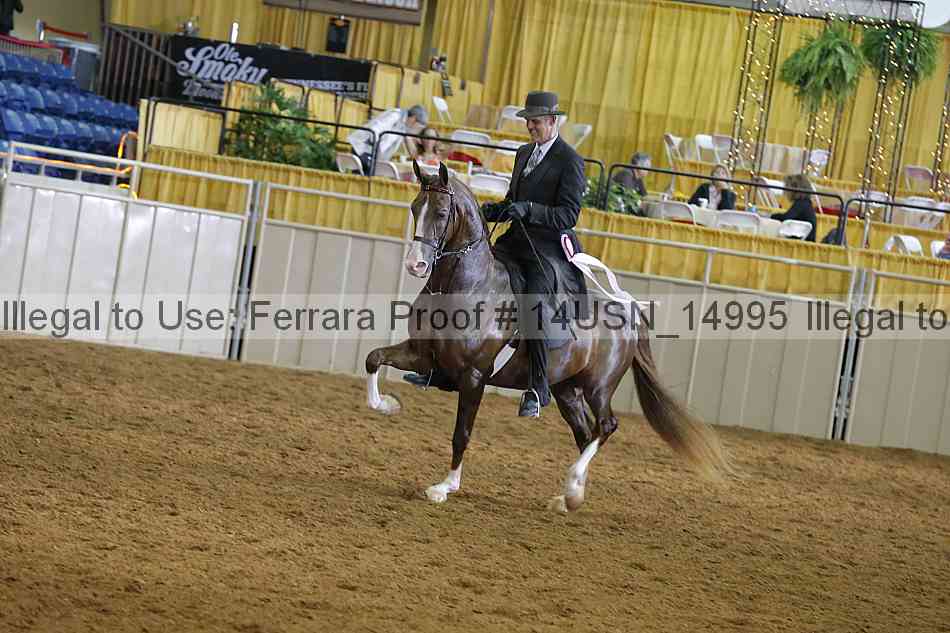 Proof 14usn_14995