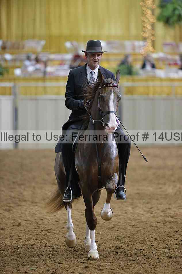 Proof 14usn_14996