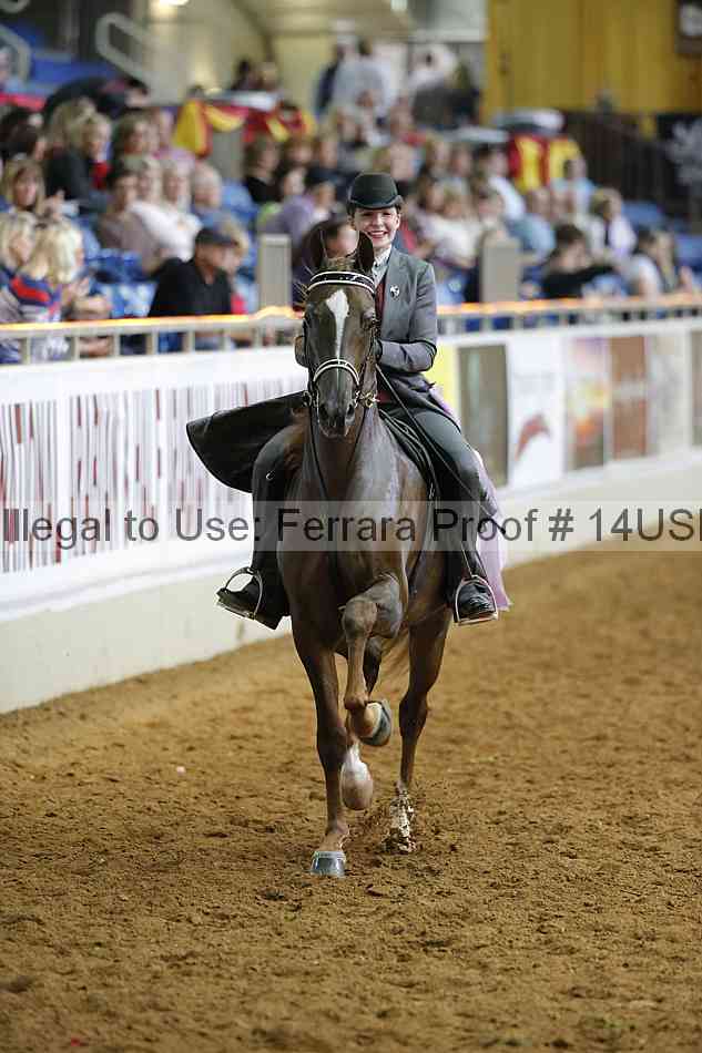 Proof 14usn_15003