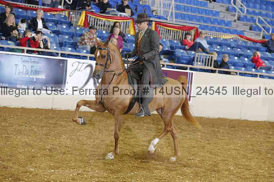 Proof 14usn_24545