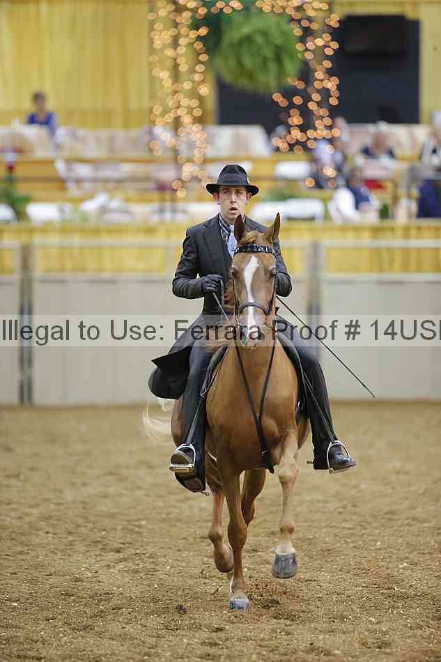 Proof 14usn_24547