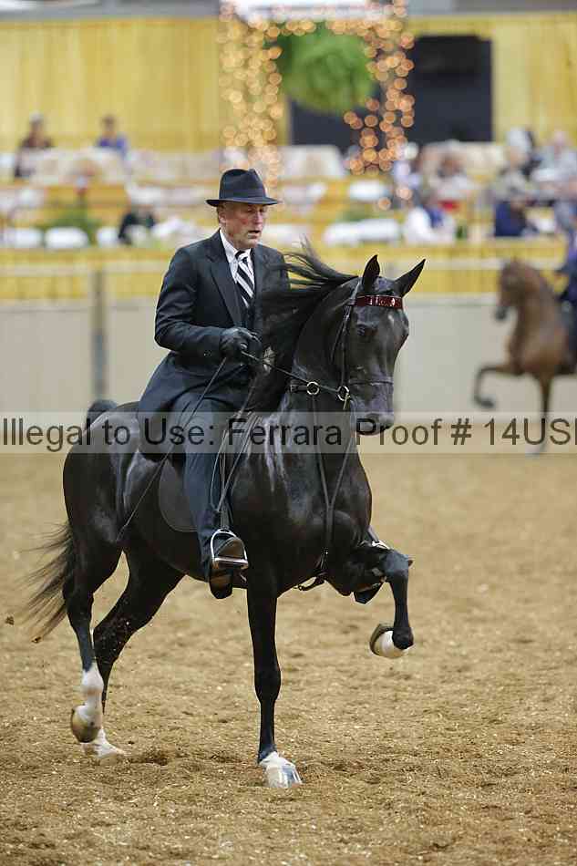 Proof 14usn_24558