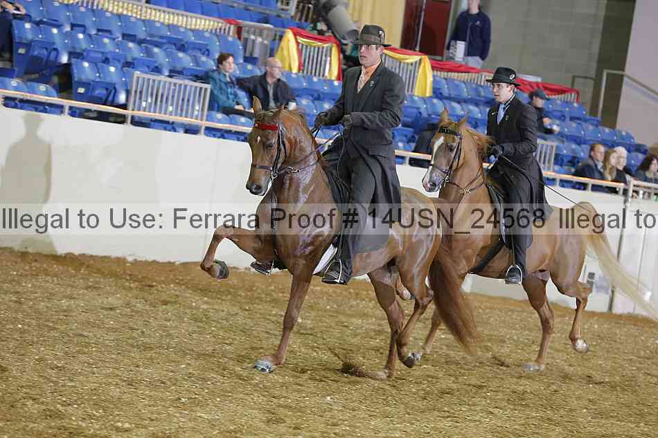 Proof 14usn_24568