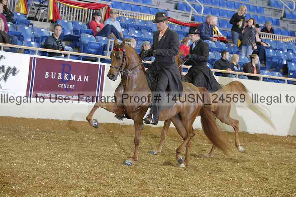 Proof 14usn_24569