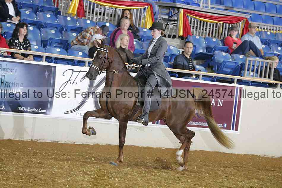 Proof 14usn_24574