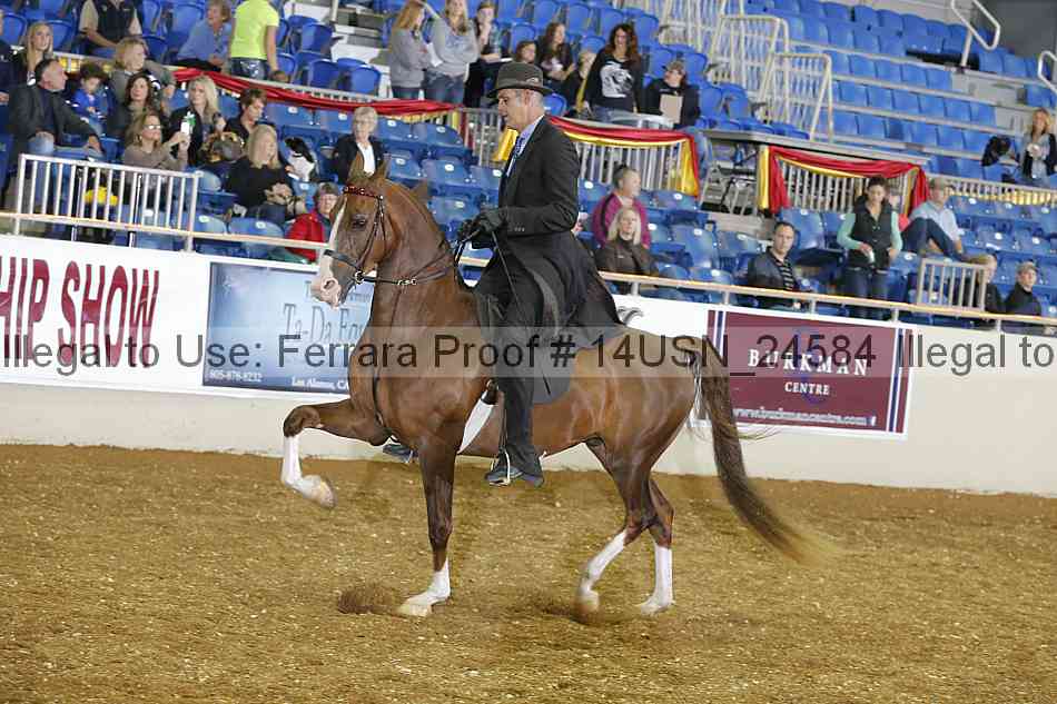 Proof 14usn_24584