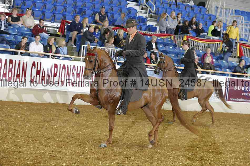 Proof 14usn_24587