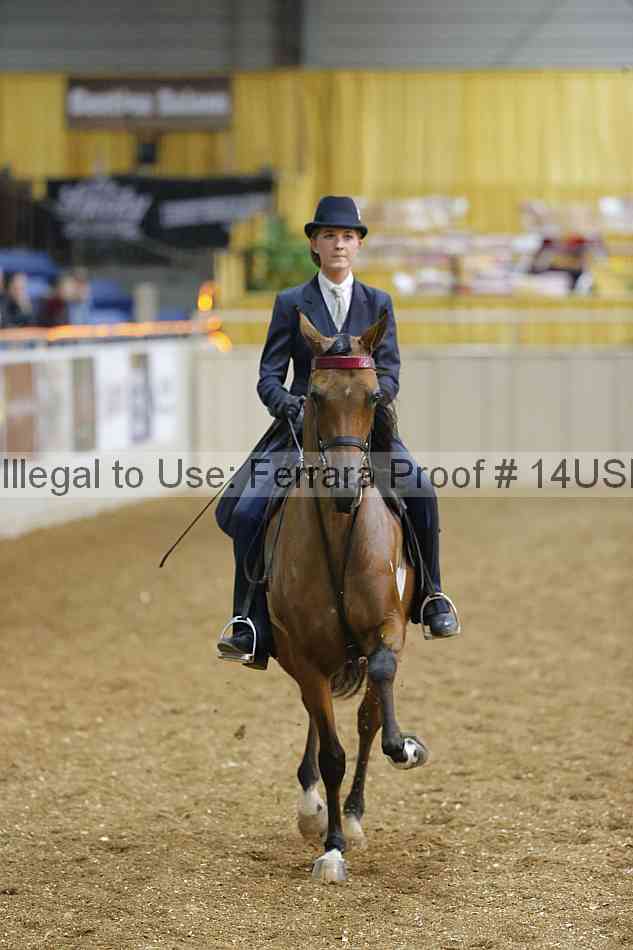 Proof 14usn_24588