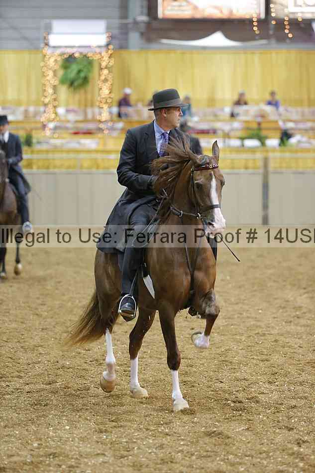 Proof 14usn_24592