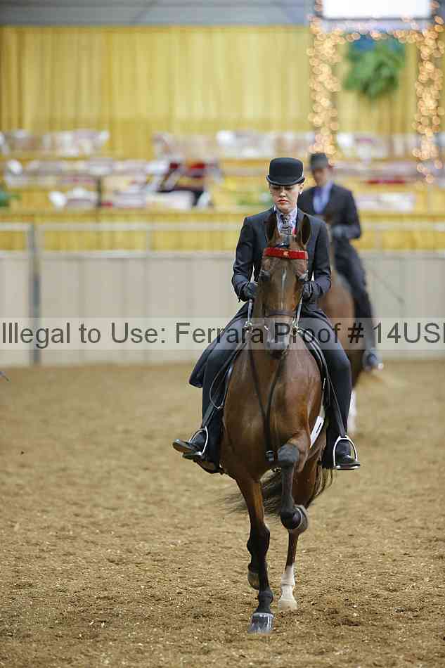 Proof 14usn_24605