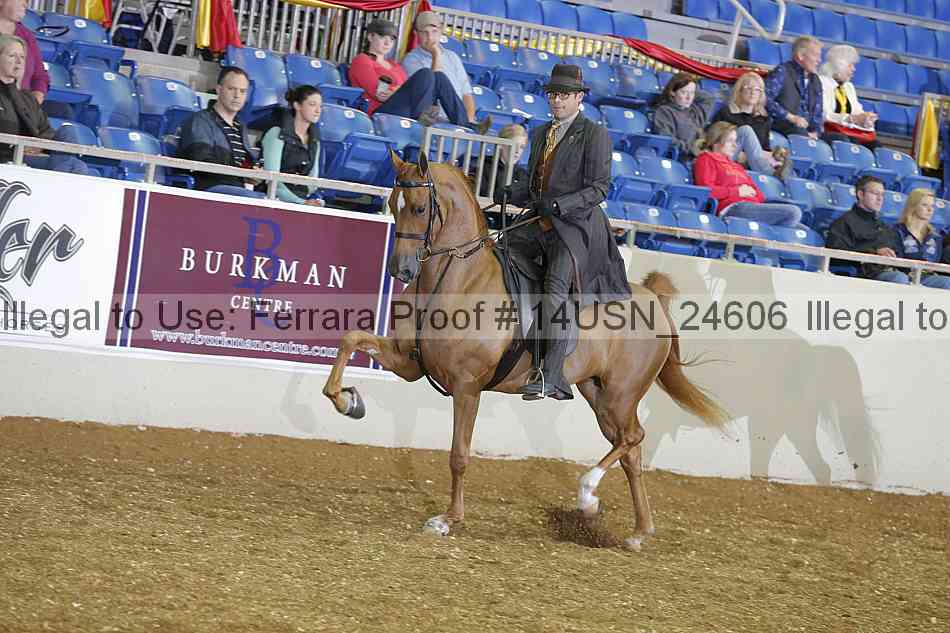 Proof 14usn_24606