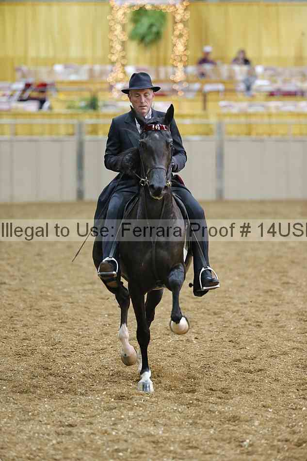 Proof 14usn_24647