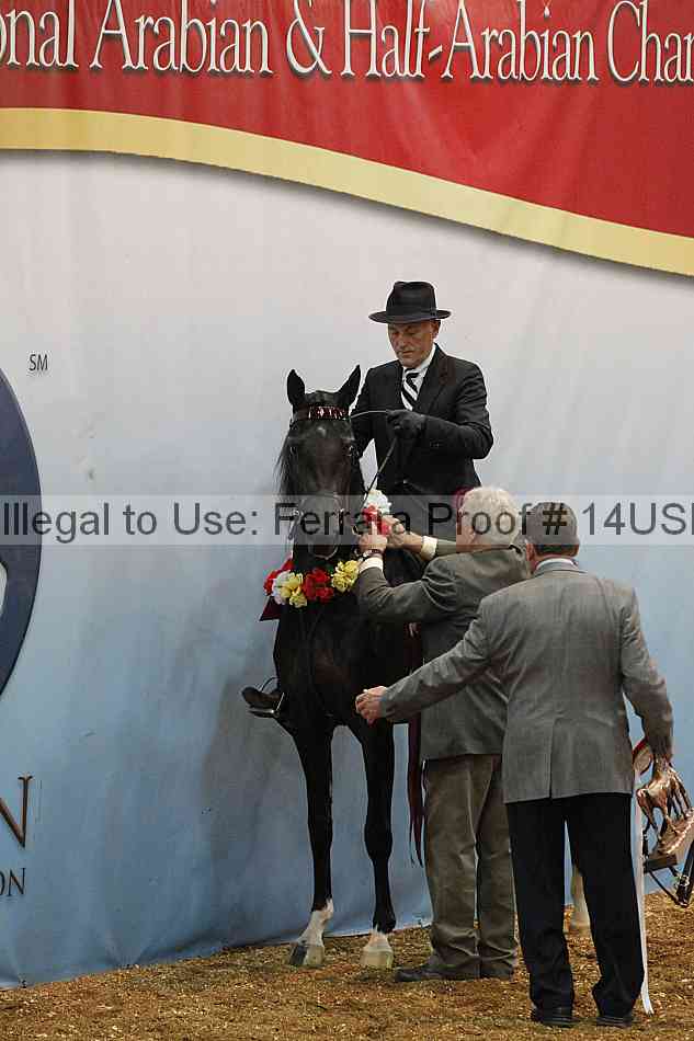 Proof 14usn_24651