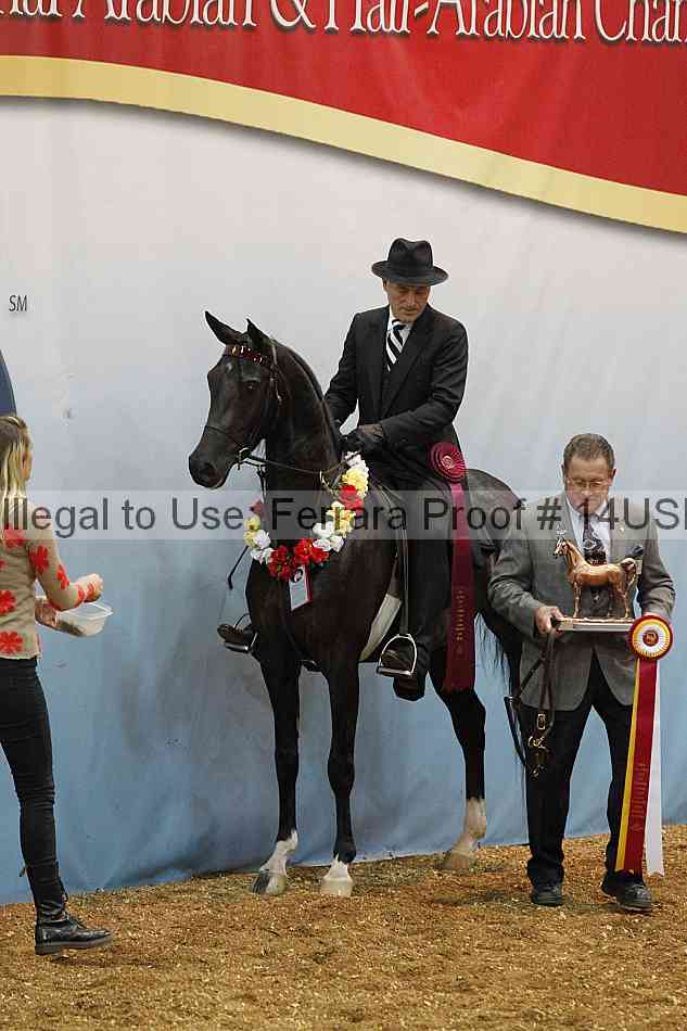 Proof 14usn_24656