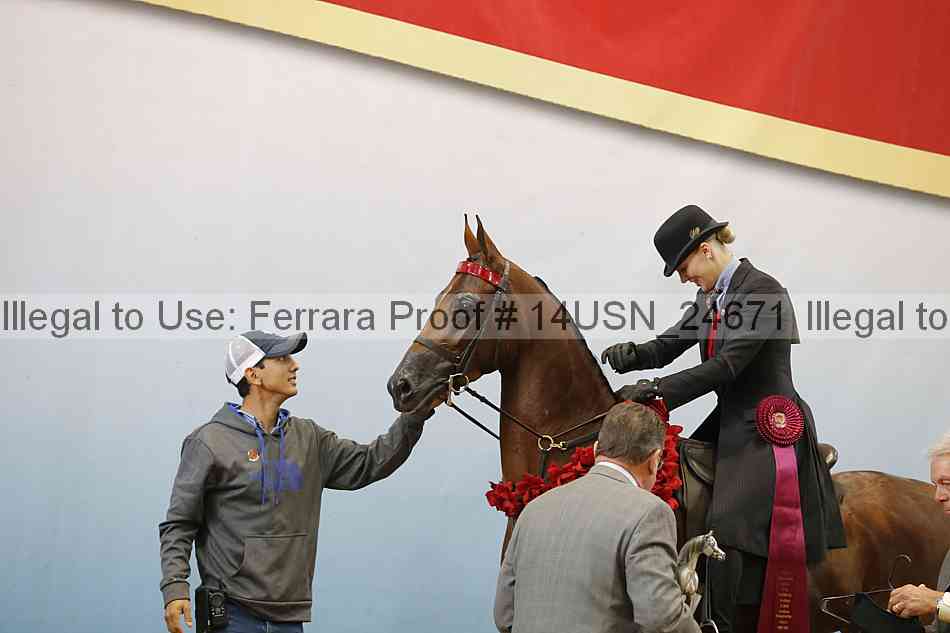 Proof 14usn_24671