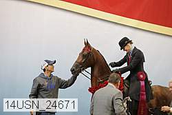 14usn_24671 proof
