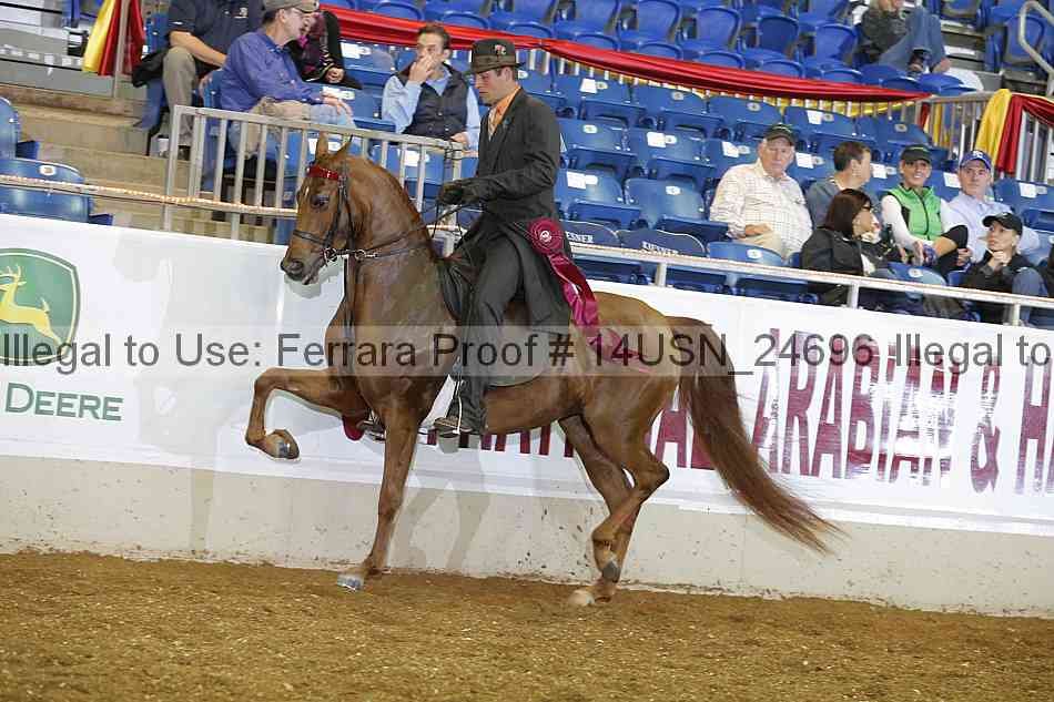 Proof 14usn_24696