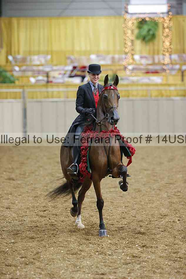 Proof 14usn_24735