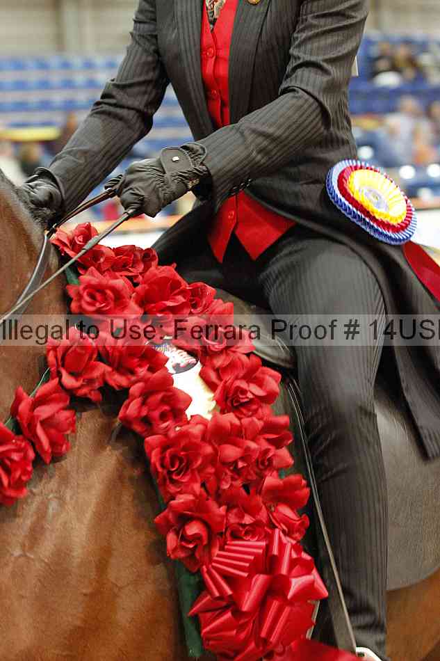 Proof 14usn_24749