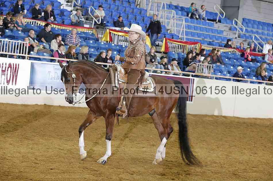 Proof 14usn_06156