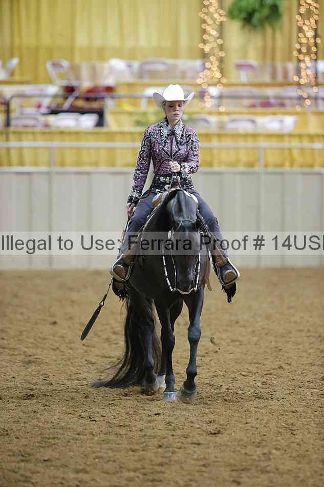 Proof 14usn_06162