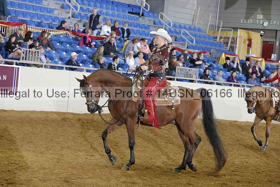 Proof 14usn_06166
