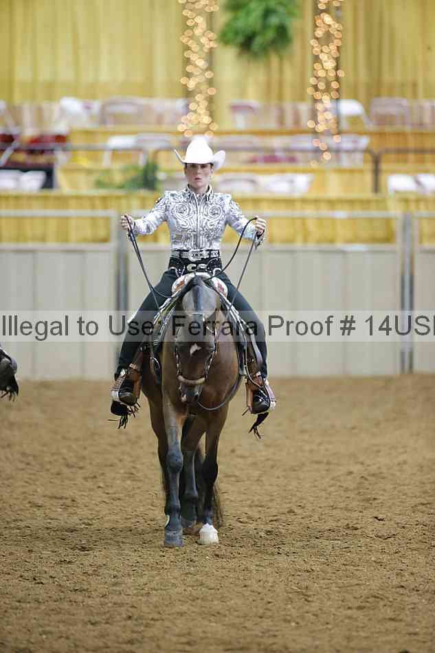 Proof 14usn_06167