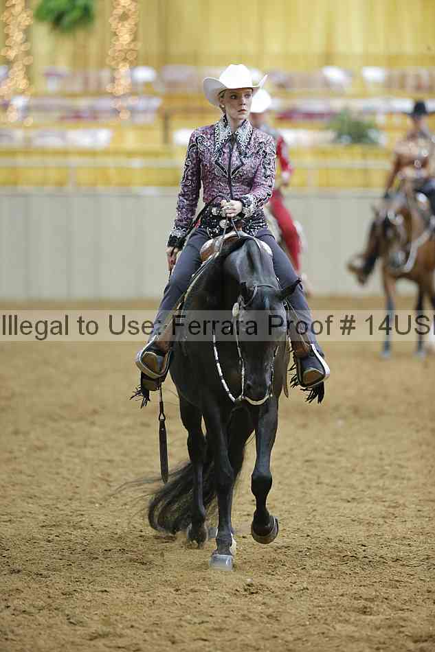 Proof 14usn_06185
