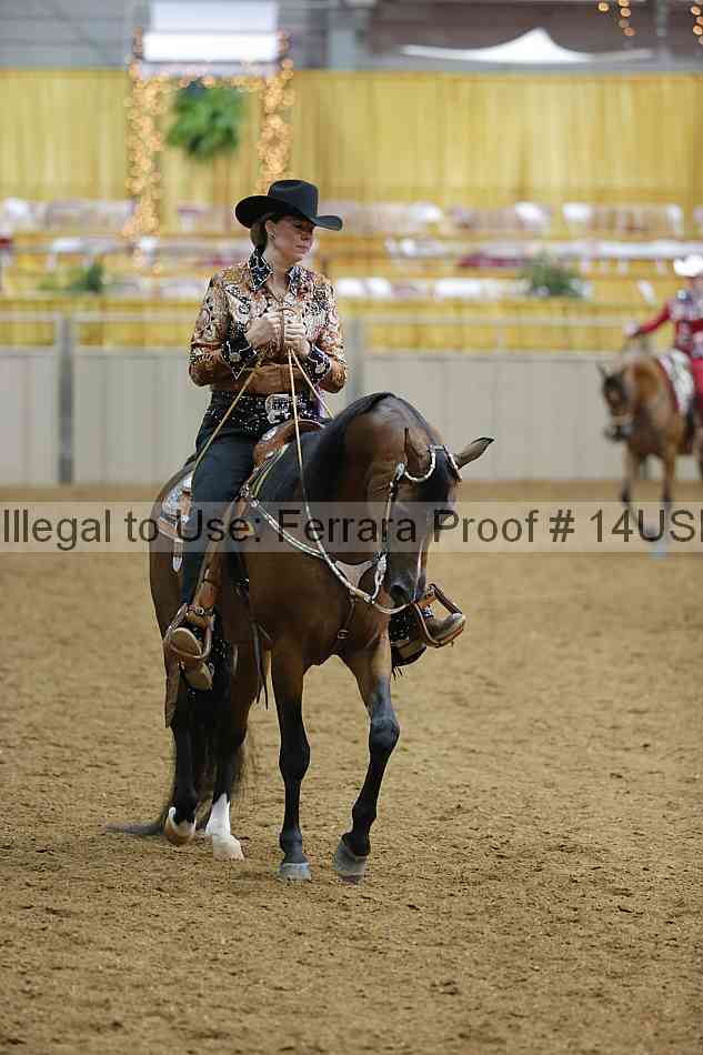 Proof 14usn_06205