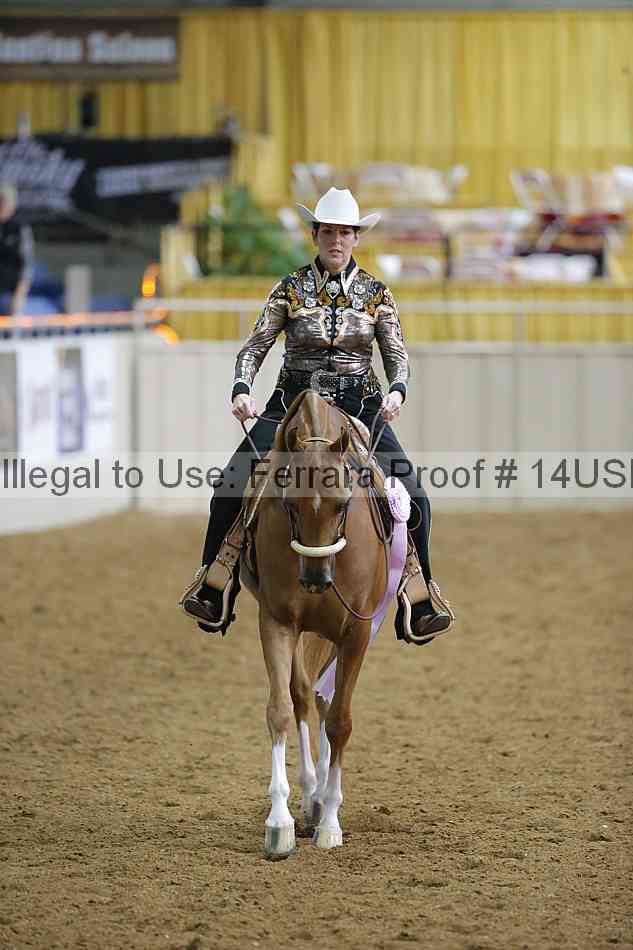 Proof 14usn_06225