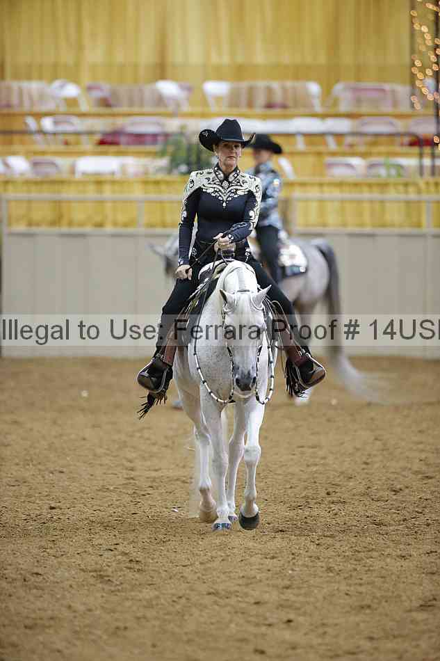 Proof 14usn_06249