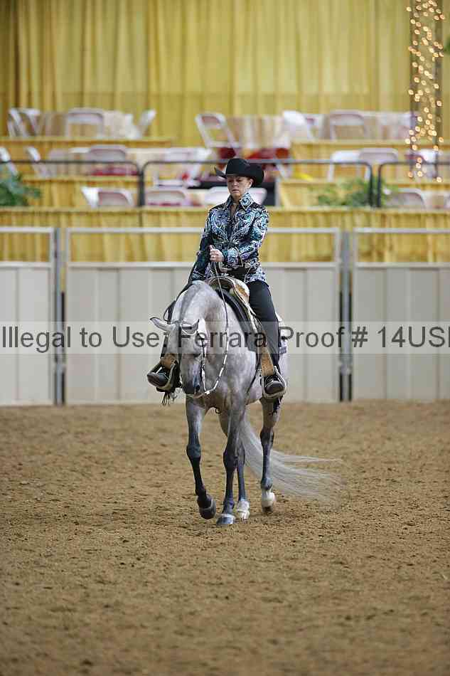 Proof 14usn_06253