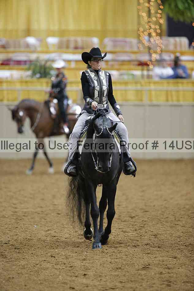Proof 14usn_06260