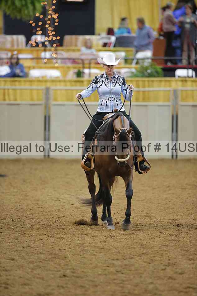Proof 14usn_06272