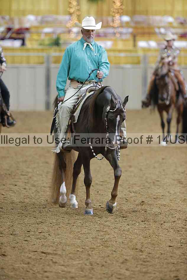 Proof 14usn_06274