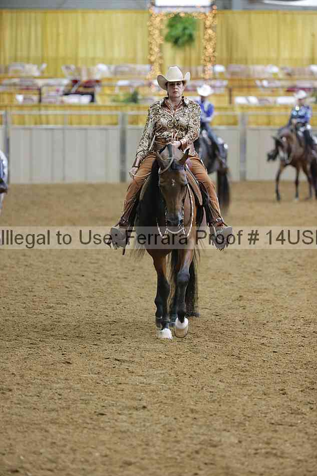 Proof 14usn_06277