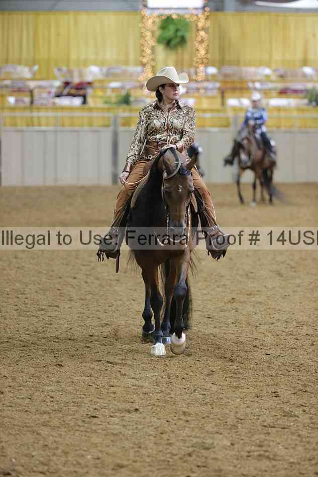 Proof 14usn_06278