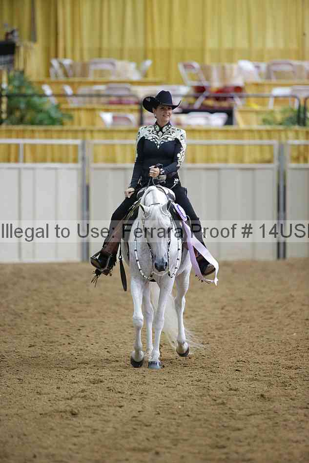 Proof 14usn_06285